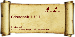 Adamcsek Lili névjegykártya