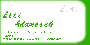 lili adamcsek business card